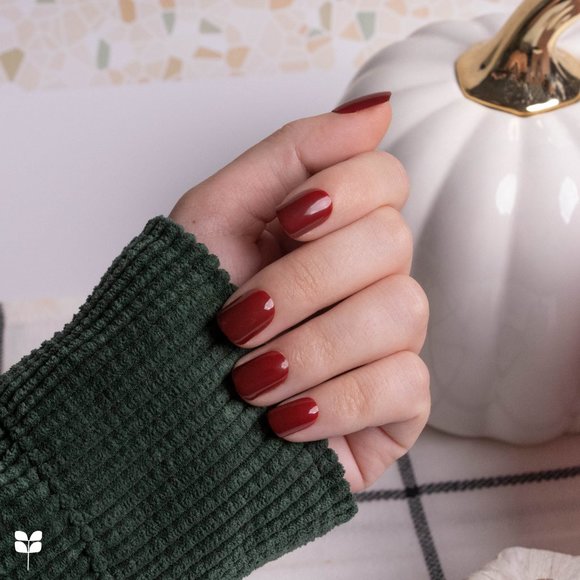 Red Aspen Nail Dashes | Fall for Christine - Picture 4 of 6